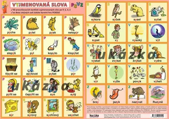 Časově Omezené Vyjmenovaná slova PSVZ