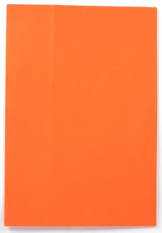 Pěnovka 20 × 29 cm - barva oranžová Odeslání Ihned