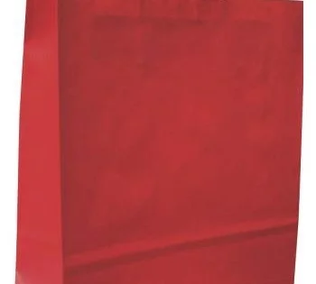 Taška papírová 19x 8x 21cm, kroucené ucho, červená Expresní Doručení