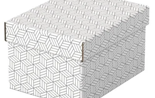 Box úložný Esselte Home, velikost S, bílý, 3ks Pouze Dnes