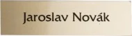 Poslední Šance Plastová cedulka 70 x 25 mm zlatá mat/ černá